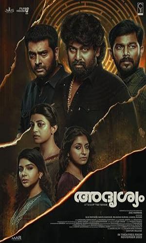  Adrishyam (2022) Hindi Dual Audio Web-DL 720p - 480p - 1080p movie poster