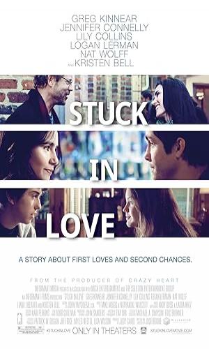  Stuck in Love (2012) Hindi Dual Audio BluRay 720p - 480p - 1080p movie poster