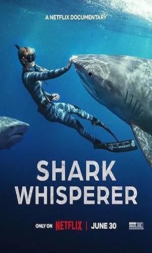  Shark Whisperer (2025) Hindi Dual Audio Web-DL 720p - 480p - 1080p movie poster