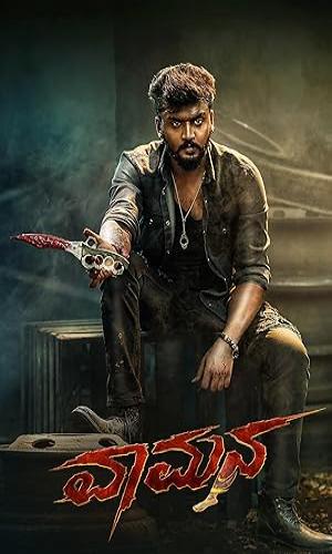 Vaamana (2025) Hindi Dual Audio Web-DL 720p - 480p - 1080p movie poster