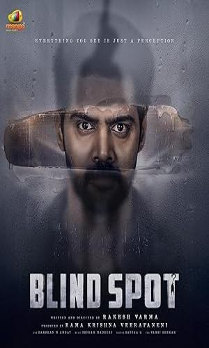 Blind Spot (2025) Hindi Multi Audio Web-DL 720p - 480p - 1080p movie poster