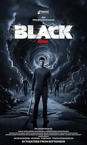 Black (2024) Hindi Dual Audio Web-DL 720p - 480p - 1080p movie poster