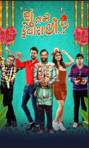 Shu Tame Kunwara Chho (2022) Gujarati Web-DL 720p - 480p - 1080p movie poster