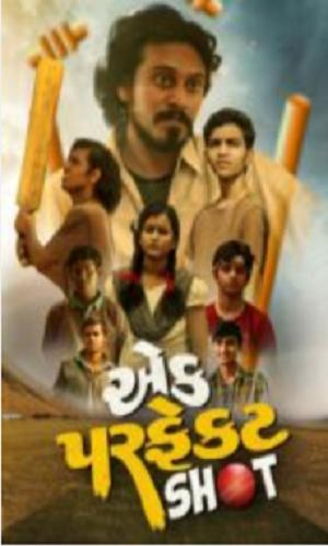 Ek Perfect Shot (2023) Gujarati Web-DL 720p - 480p - 1080p movie poster