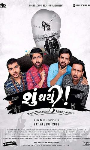 Shu Thayu (2018) Gujarati Web-DL 720p - 480p - 1080p movie poster