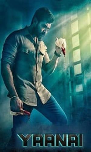  Yaanai (2022) Hindi Multi Audio Web-DL 720p - 480p - 1080p movie poster