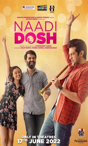  Naadi Dosh (2022) Gujarati  Web-DL 720p - 480p - 1080p movie poster