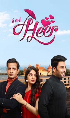  Hoon Tari Heer (2022) Gujarati  HDRip 720p - 480p - 1080p movie poster