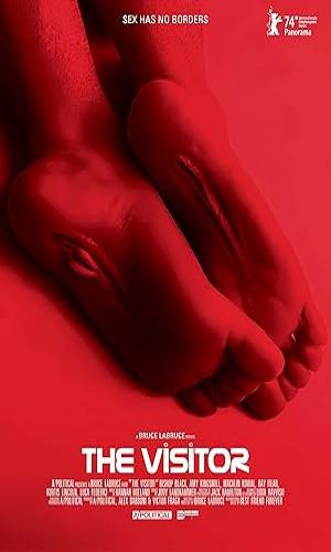  The Visitor (2024) English  BluRay 720p - 480p - 1080p movie poster