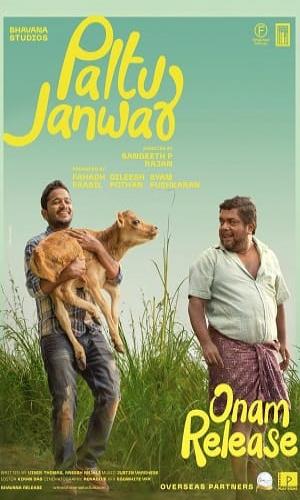 Palthu Janwar (2022) Multi Audio Hindi, Malayalam, Tamil, Telugu Web-DL 720p - 480p - 1080p movie poster
