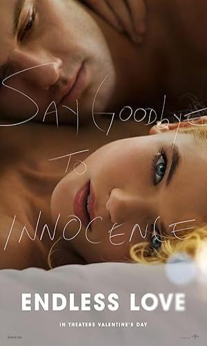  Endless Love (2014) Hindi Dual Audio BluRay 720p - 480p - 1080p movie poster