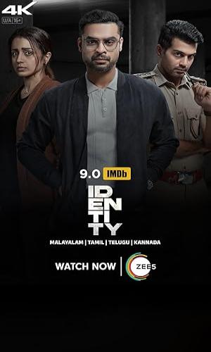 Identity (2025) Hindi WebRip 720p - 480p - 1080p movie poster
