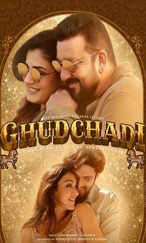 Ghudchadi (2024) Hindi  Web-DL 720p - 480p - 1080p movie poster