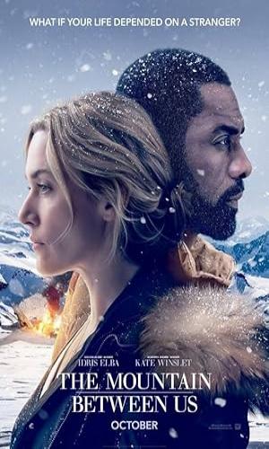  The Mountain Between Us (2017) Hindi Dual Audio BluRay 720p - 480p - 1080p movie poster