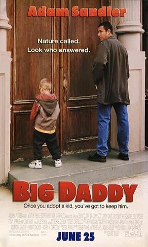 Big Daddy (1999) Hindi Dual Audio Web-DL 720p - 480p - 1080p movie poster
