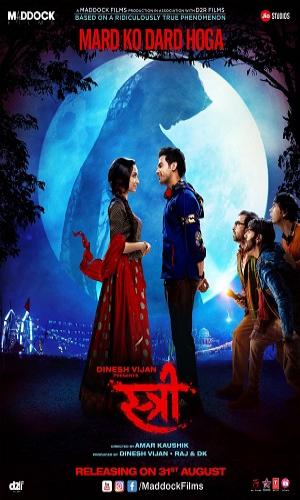  Stree (2018) Hindi  Web-DL 720p - 480p - 1080p movie poster