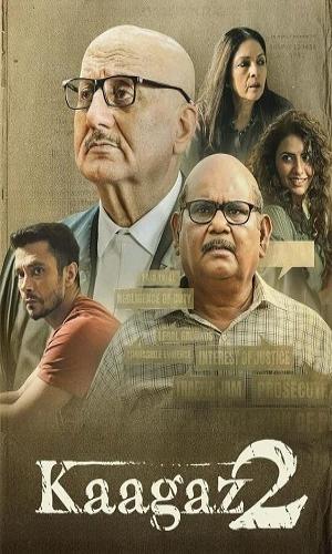 Kaagaz 2 (2024) (DD5.1) Hindi Web-DL 720p - 480p - 1080p movie poster