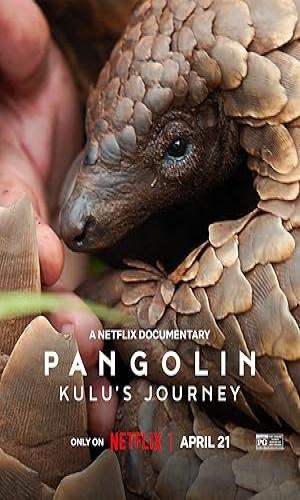  Pangolin: Kulus Journey (2025) Hindi Dual Audio Web-DL 720p - 480p - 1080p movie poster