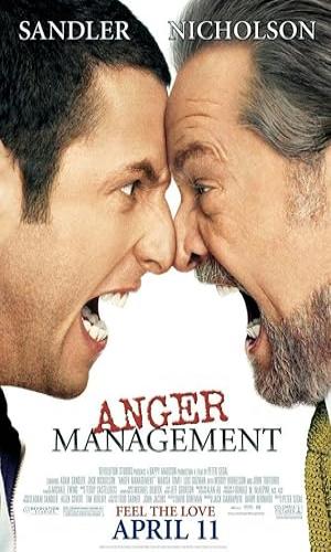  Anger Management (2003) Hindi Dual Audio BluRay 720p - 480p - 1080p movie poster