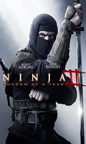   Ninja: Shadow of a Tear (2013) Hindi Dual Audio BluRay 720p - 480p - 1080p movie poster