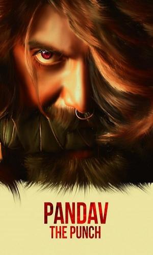  Pandav The Punch (2020) Hindi  Web-DL 720p - 480p - 1080p movie poster