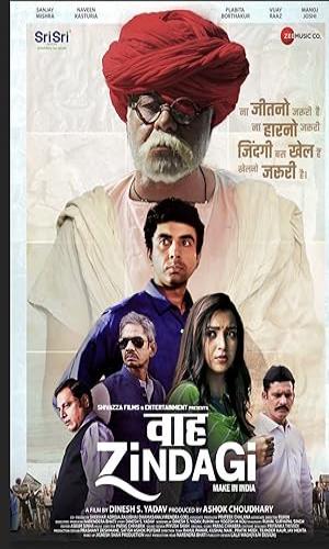  Waah Zindagi (2021) Hindi  Web-DL 720p - 480p - 1080p movie poster