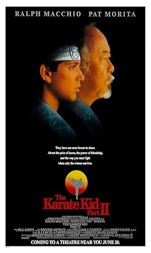   The Karate Kid Part 2 (1986) Hindi Dual Audio BluRay 720p - 480p - 1080p movie poster