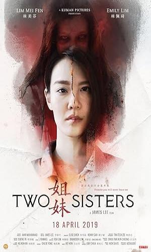  Two Sisters (2019) Hindi Dual Audio Web-DL 720p - 480p - 1080p movie poster