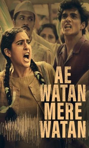  Ae Watan Mere Watan (2024) Hindi  Web-DL 720p - 480p - 1080p movie poster