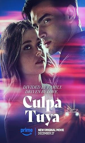 Culpa Tuya (2024) Hindi Dual Audio Web-DL 720p - 480p - 1080p movie poster