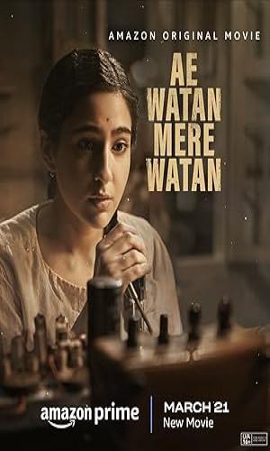  Ae Watan Mere Watan (2024)      Hindi  Web-DL 720p - 480p - 1080p movie poster