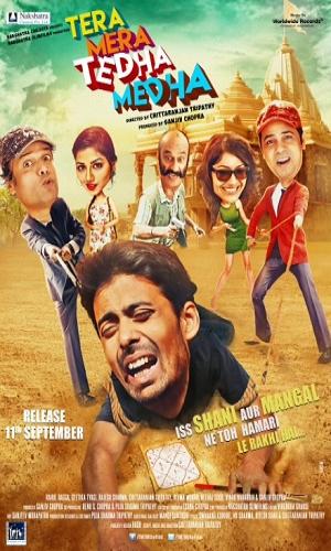  Tera Mera Tedha Medha (2015) Hindi  Web-DL 720p - 480p - 1080p movie poster