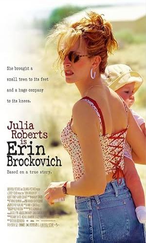  Erin Brockovich (2000) Hindi Dual Audio BluRay 720p - 480p - 1080p movie poster