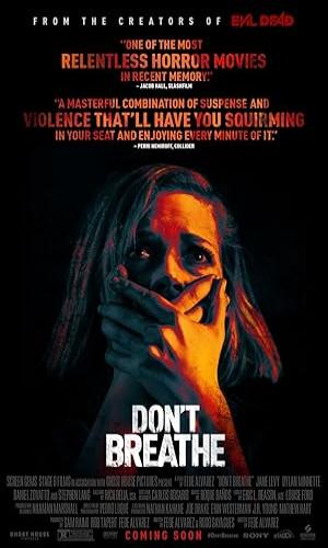  Dont Breathe (2016)  Hindi Dual Audio BluRay 720p - 480p - 1080p movie poster