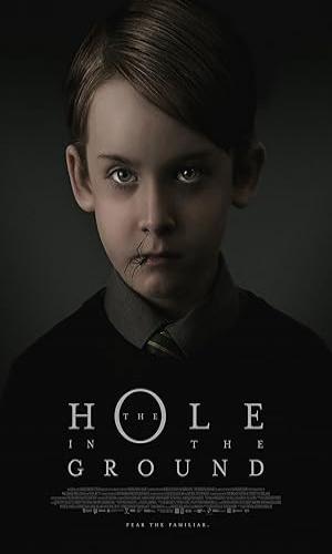 The Hole in the Ground (2019) Hindi Dual Audio BluRay 720p - 480p - 1080p movie poster