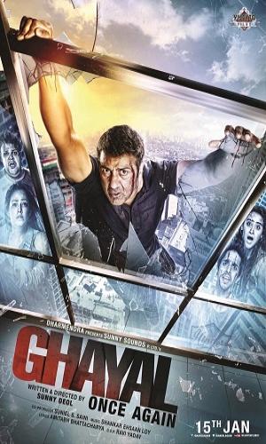 Ghayal Once Again (2016) Hindi Web-DL 720p - 480p - 1080p movie poster