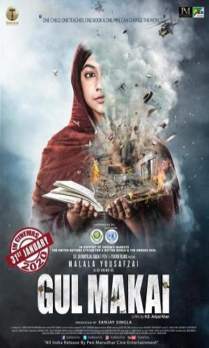 Gul Makai (2020) Hindi Web-DL 720p - 480p - 1080p movie poster