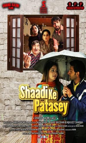 Shaadi Ke Patasey (2019) Hindi Web-DL 720p - 480p - 1080p movie poster