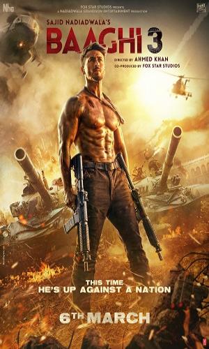 Baaghi 3 (2020) Hindi Web-DL 720p - 480p - 1080p movie poster