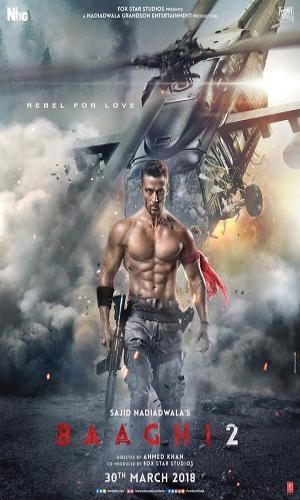 Baaghi 2 (2018) Hindi Web-DL 720p - 480p - 1080p movie poster