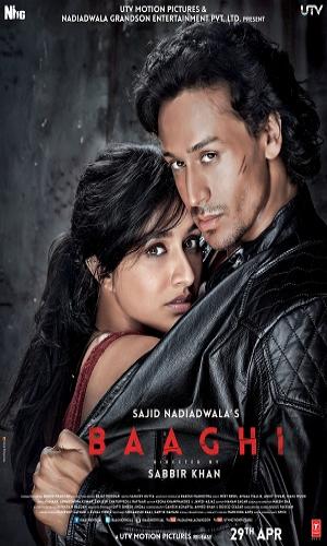 Baaghi (2016) Hindi Web-DL 720p - 480p - 1080p movie poster