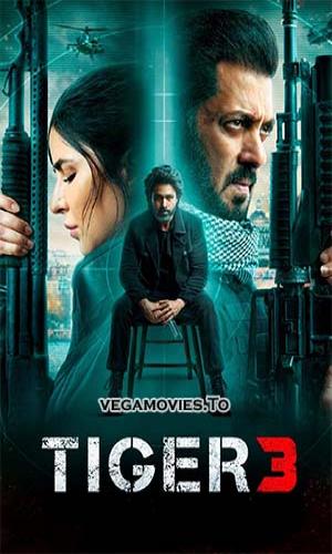  Tiger 3 (2023) Hindi  Web-DL 720p - 480p - 1080p movie poster