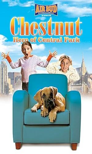  Chestnut: Hero of Central Park (2004) Hindi Dual Audio Web-DL 720p - 480p - 1080p movie poster
