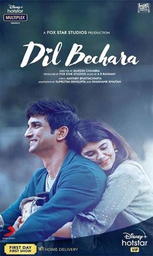 Dil Bechara (2020) Hindi Web-DL 720p - 480p - 1080p movie poster