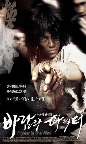  Fighter in the Wind (2004) Hindi  BluRay 720p - 480p - 1080p movie poster