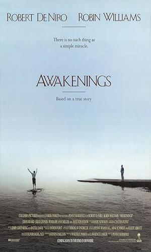  Awakenings (1990) Hindi Dual Audio BluRay 720p - 480p - 1080p movie poster