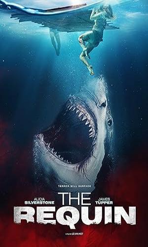 The Requin (2022) Hindi Dual Audio Web-DL 720p - 480p - 1080p movie poster