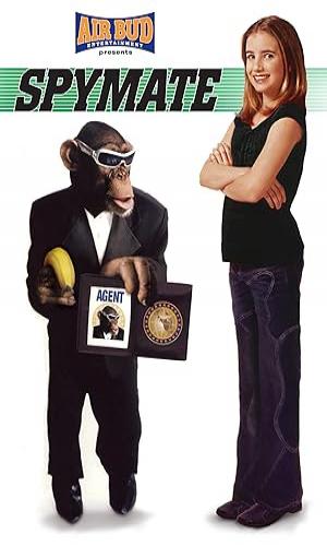  Spymate (2003) Hindi Dual Audio Web-DL 720p - 480p - 1080p movie poster