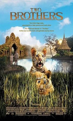  Two Brothers (2004) Hindi Dual Audio BluRay 720p - 480p - 1080p movie poster