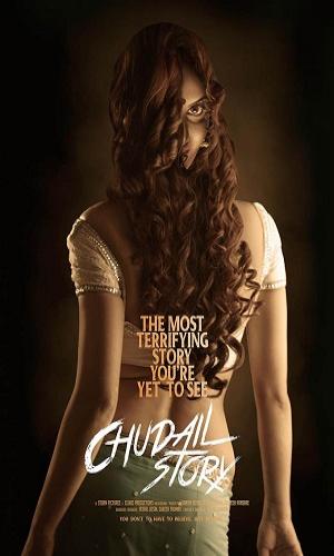  Chudail Story (2016) Hindi  Web-DL 720p - 480p - 1080p movie poster